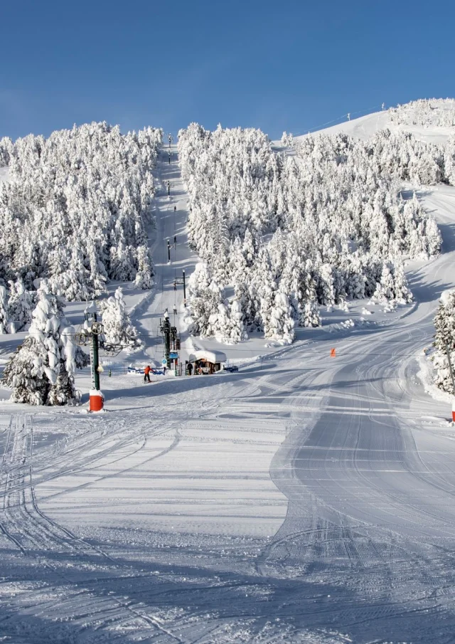 Vue sur les pistes enneigées de la station des Angles, bordées de forêts de sapins sous un ciel bleu dégagé.
