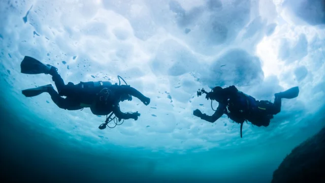 Deux plongeurs équipés de combinaisons étanches et de bouteilles d’oxygène nagent sous une couche de glace épaisse. La lumière du jour filtre à travers la surface gelée, créant des reflets bleutés dans l’eau.