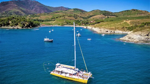 Grand catamaran jaune naviguant dans une baie entourée de collines verdoyantes et de bateaux ancrés.