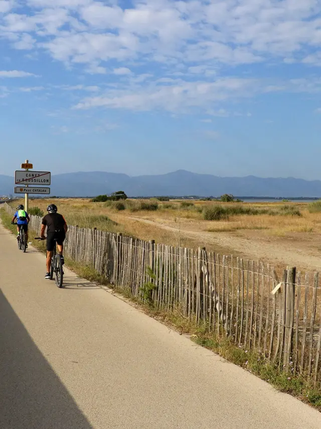 Cyclistes roulant sur une piste aménagée longeant une route et une zone naturelle.