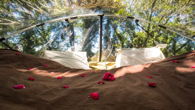 Lit avec draps et pétales dans une structure transparente au milieu d’arbres.