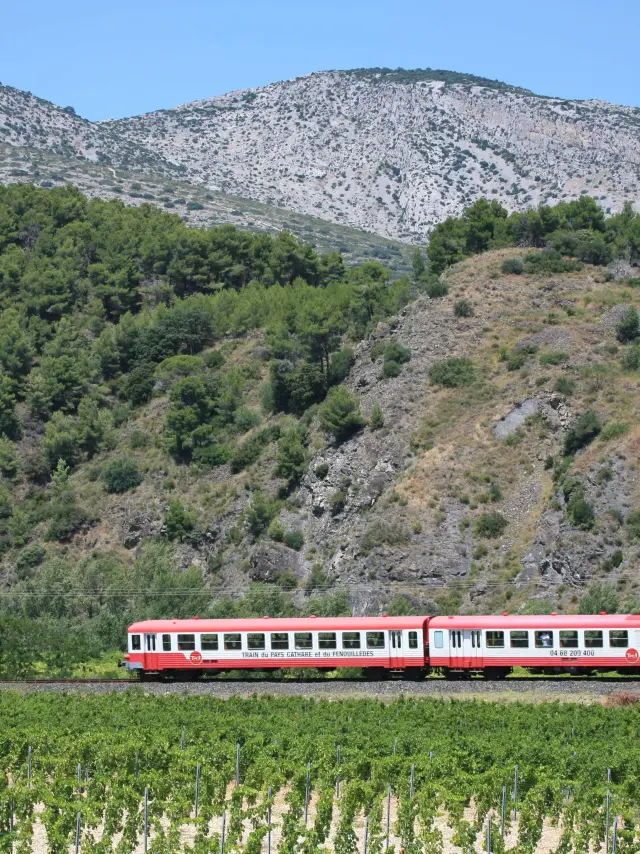 Train rouge traversant les vignes au pied des collines rocailleuses.