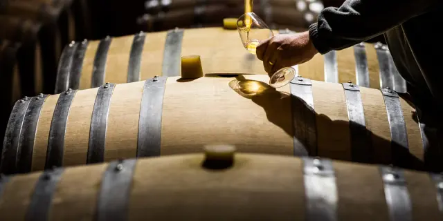 Main prélevant du vin blanc dans un verre au-dessus de fûts en bois dans un chai.