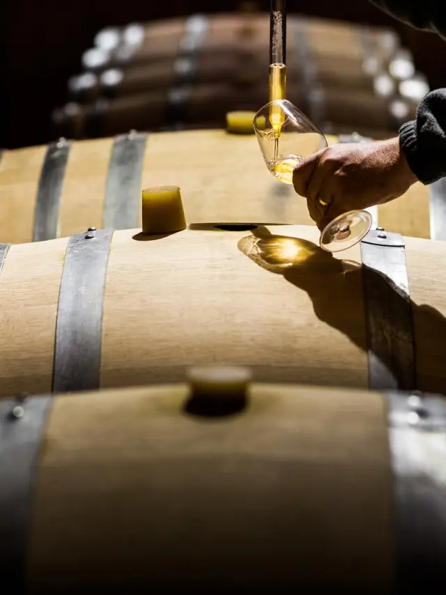 Main prélevant du vin blanc dans un verre au-dessus de fûts en bois dans un chai.