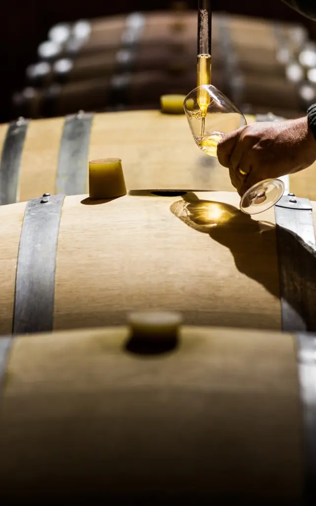Main prélevant du vin blanc dans un verre au-dessus de fûts en bois dans un chai.