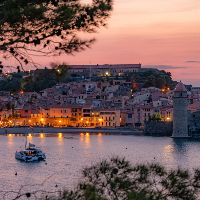 Vue sur le port et les maisons colorées de Collioure au crépuscule, avec le clocher et la mer éclairés par les lumières du soir, encadrés par des pins.