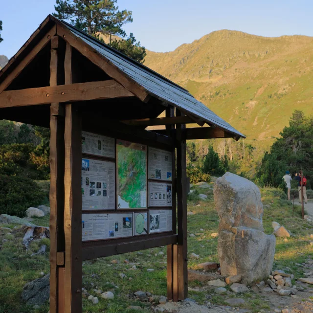 Panneau d’information en bois près d’un sentier pierreux en montagne, entouré d’arbres et de pentes herbeuses.