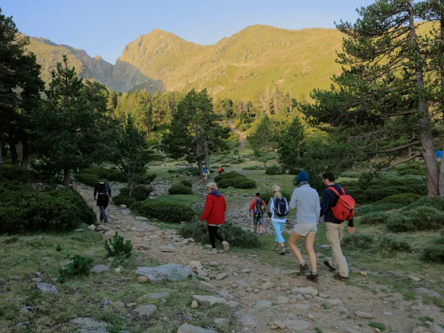Groupe de randonneurs avançant sur un sentier pierreux en montagne, entouré de pins et d’alpages sous un ciel clair.