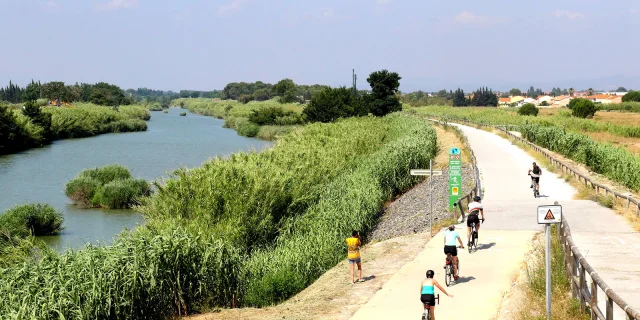 Cyclistes sur une voie verte longeant un cours d’eau entouré de végétation dense.