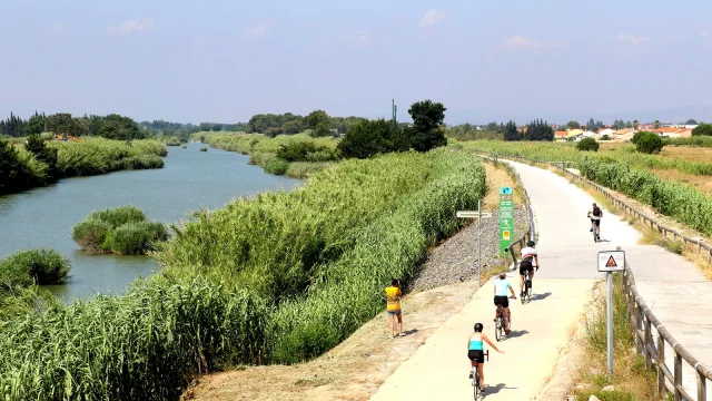 Cyclistes sur une voie verte longeant un cours d’eau entouré de végétation dense.
