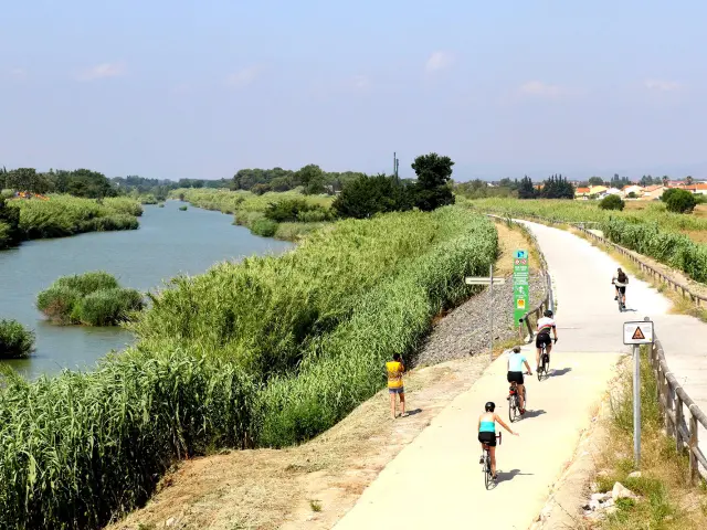 Cyclistes sur une voie verte longeant un cours d’eau entouré de végétation dense.
