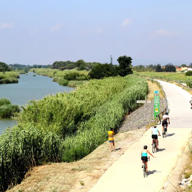 Cyclistes sur une voie verte longeant un cours d’eau entouré de végétation dense.