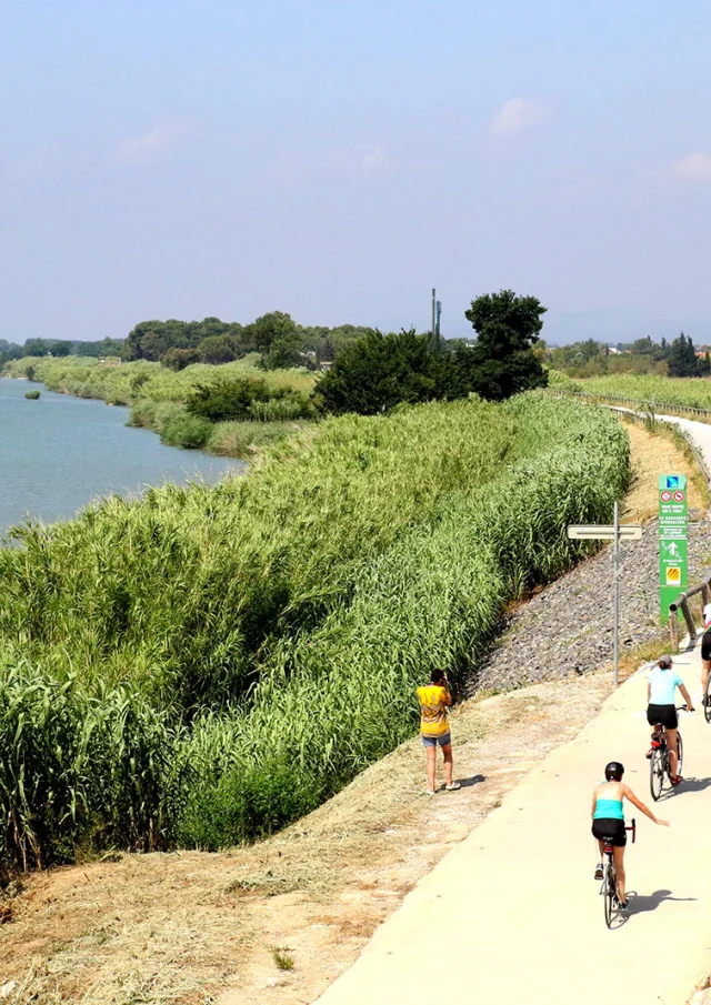 Cyclistes sur une voie verte longeant un cours d’eau entouré de végétation dense.