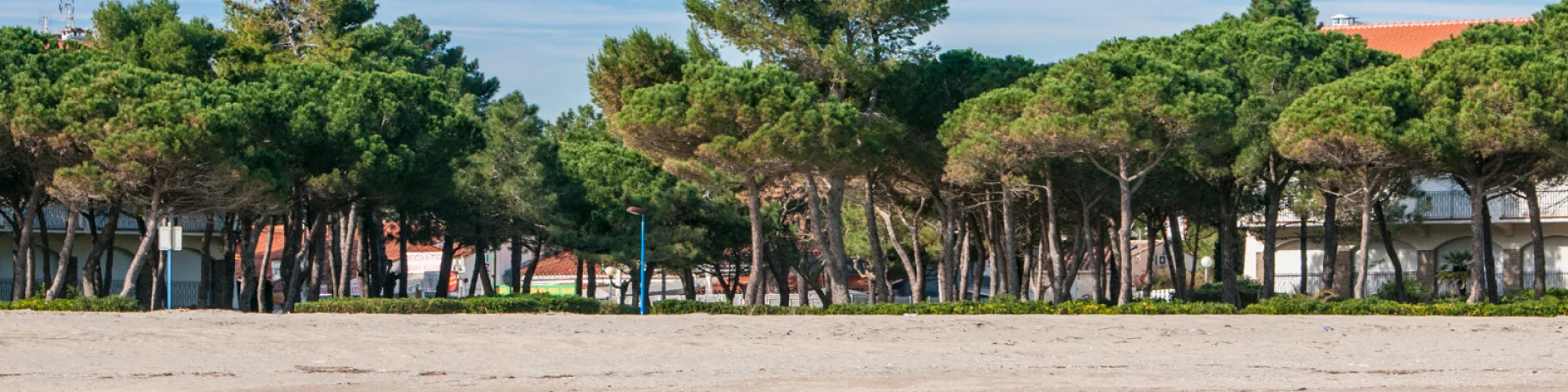 Plage de sable bordée d’une rangée d’arbres et de bâtiments en arrière-plan, vue depuis la mer sous un ciel clair.