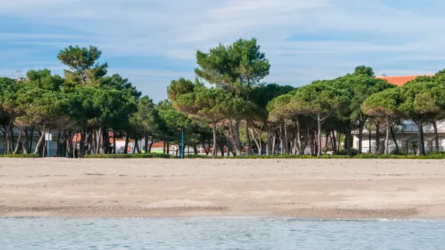 Plage de sable bordée d’une rangée d’arbres et de bâtiments en arrière-plan, vue depuis la mer sous un ciel clair.