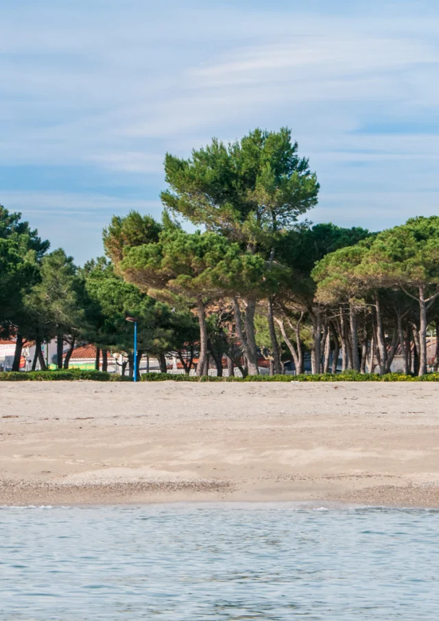 Plage de sable bordée d’une rangée d’arbres et de bâtiments en arrière-plan, vue depuis la mer sous un ciel clair.