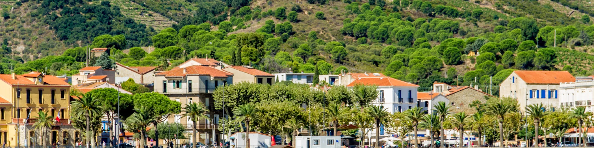 Vue de la plage au pied des collines verdoyantes