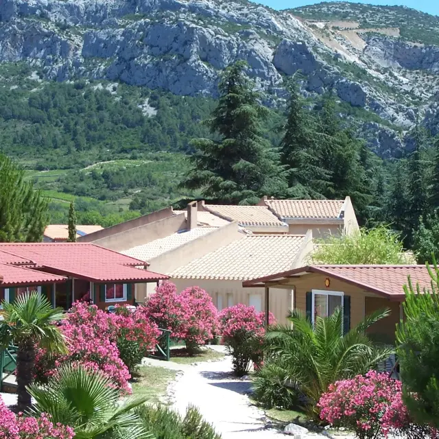 Hébergements entourés de lauriers-roses et de végétation, avec un massif rocheux en arrière-plan.