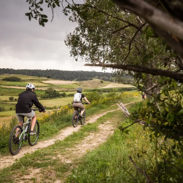 Deux personnes en VTT électrique roulant sur un sentier herbeux avec un paysage vallonné et verdoyant en arrière-plan.