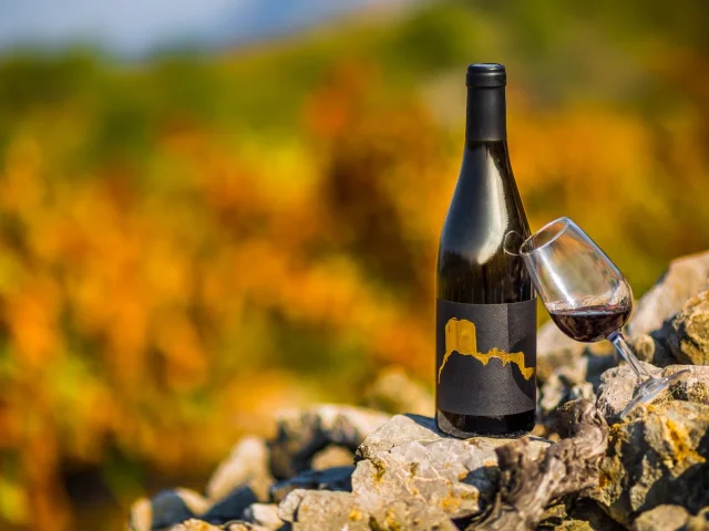Bouteille de vin et verre posé sur des rochers, avec un vignoble flou en arrière-plan.