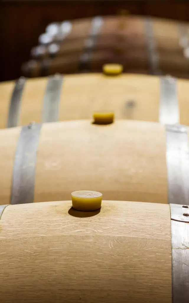 Rangées de barriques en bois dans un chai.
