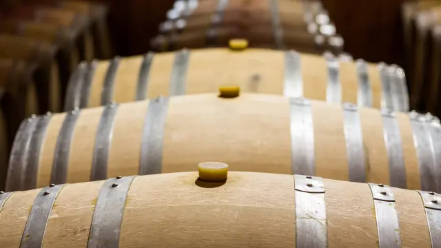 Rangées de barriques en bois dans un chai.
