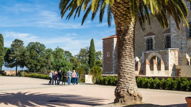 Groupe de visiteurs dans une cour ensoleillée près d’un grand bâtiment en pierre et d’un palmier.