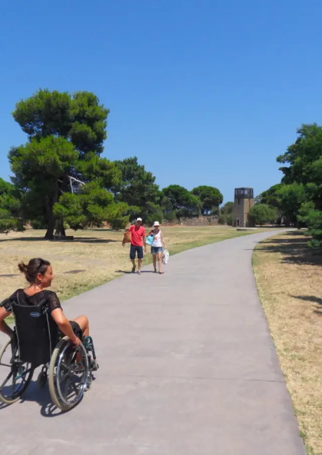 Personne en fauteuil roulant circulant sur une allée, entourée d’arbres et d’espaces naturels.