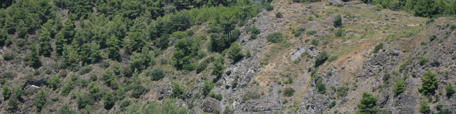 Train rouge traversant les vignes au pied des collines rocailleuses.