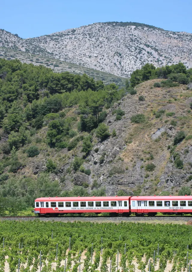 Train rouge traversant les vignes au pied des collines rocailleuses.