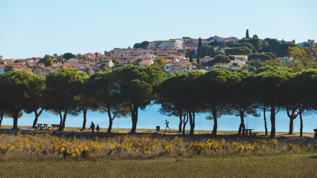 Paysage avec une rangée d’arbres au premier plan, un lac en arrière-plan et des habitations sur une colline sous un ciel clair.
