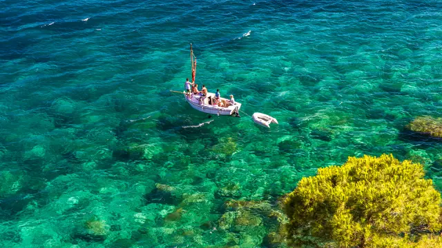 Petit bateau immobile sur une mer turquoise, vu depuis la côte avec un arbre au premier plan.