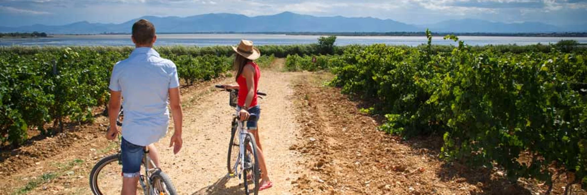 Deux personnes à vélo avançant sur un chemin entre des rangées de vignes, avec un plan d’eau au loin.