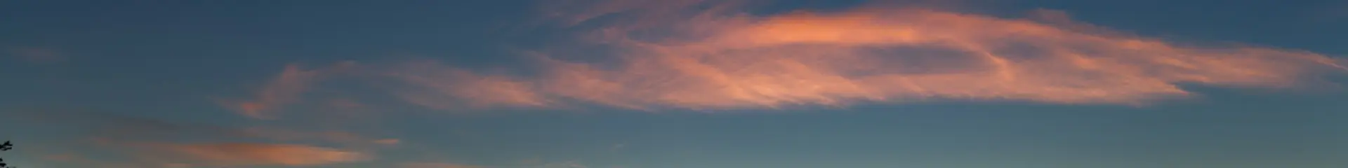 Paysage côtier au lever du soleil, avec vignes en terrasses au premier plan et mer éclairée par une lueur orange à l’horizon.