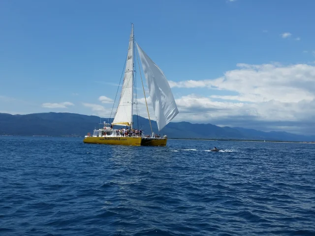 Catamaran jaune naviguant en mer avec un groupe de passagers et un dauphin visible à la surface de l’eau.
