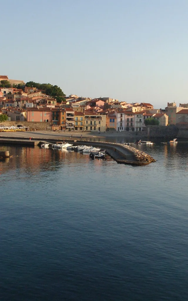 Catamaran jaune naviguant dans une baie calme près d’une ville côtière et d’un port de plaisance.