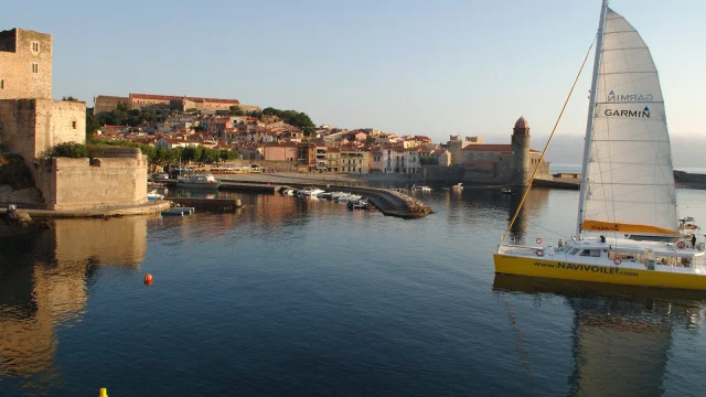 Catamaran jaune naviguant dans une baie calme près d’une ville côtière et d’un port de plaisance.