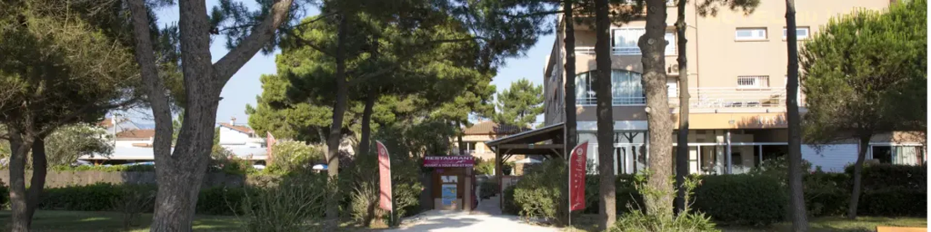 Allée bordée de pins menant à l’entrée de l’Hôtel du Lido à Argelès-sur-Mer, avec un bâtiment beige en arrière-plan sous un ciel bleu clair.