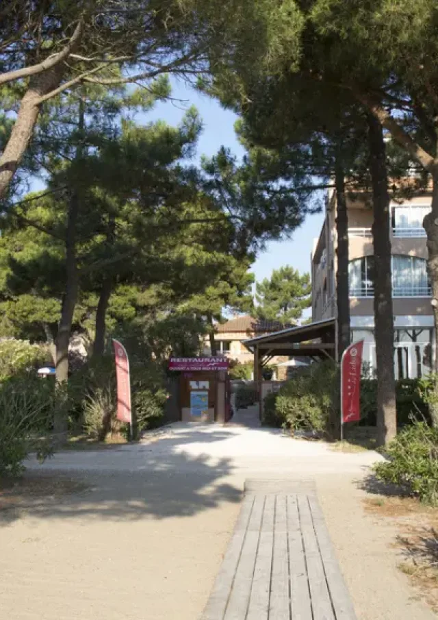 Allée bordée de pins menant à l’entrée de l’Hôtel du Lido à Argelès-sur-Mer, avec un bâtiment beige en arrière-plan sous un ciel bleu clair.