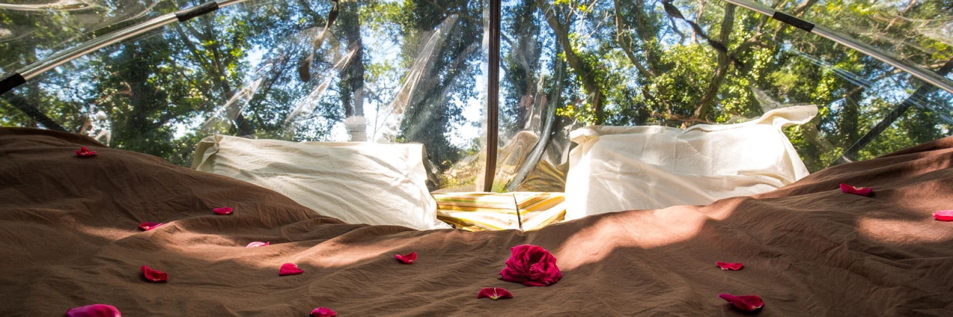 Lit avec draps et pétales dans une structure transparente au milieu d’arbres.