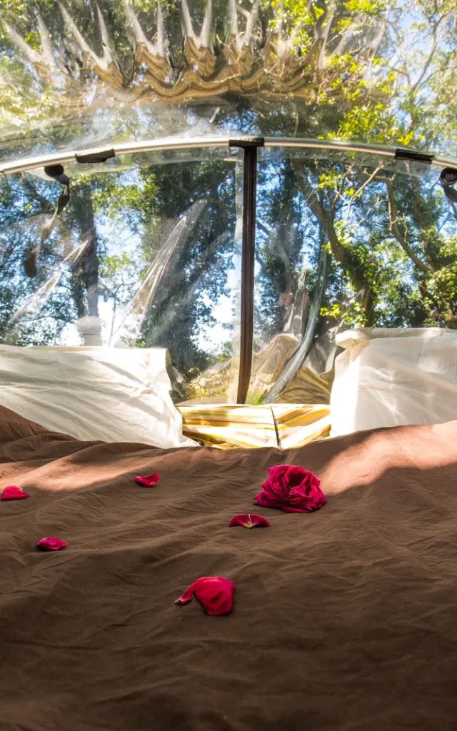 Lit avec draps et pétales dans une structure transparente au milieu d’arbres.