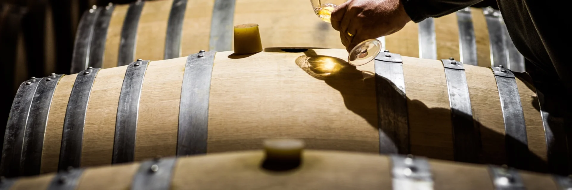 Main prélevant du vin blanc dans un verre au-dessus de fûts en bois dans un chai.