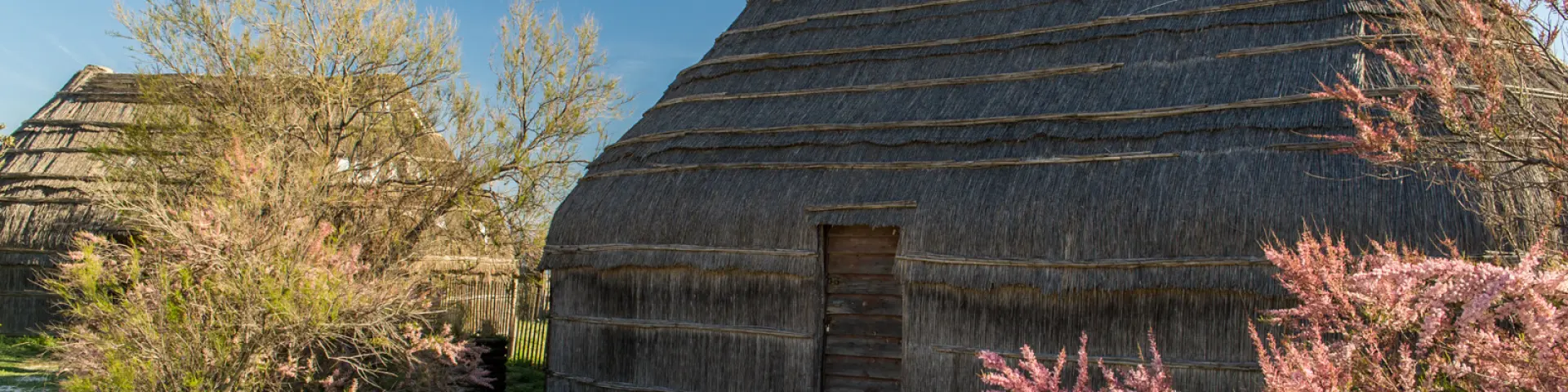 Cabane traditionnelle en roseau entourée de végétation et d’arbustes fleuris sous un ciel clair.