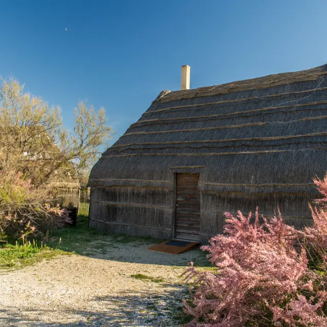 Cabane traditionnelle en roseau entourée de végétation et d’arbustes fleuris sous un ciel clair.