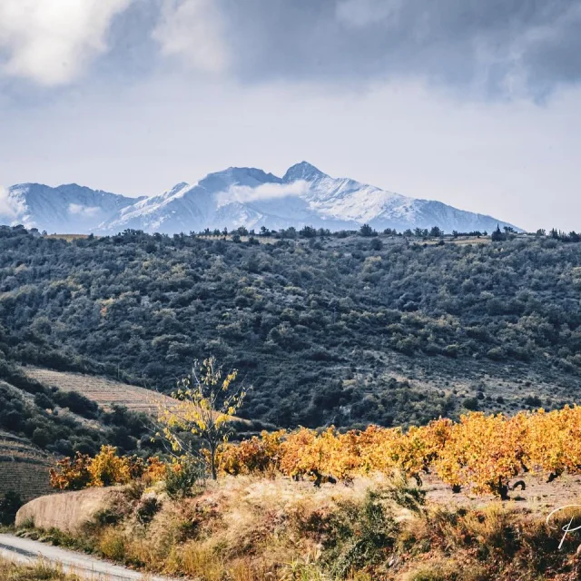 Instagram #toutestici