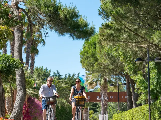 Couple à vélo circulant sur une allée bordée d’arbres et de végétation au camping Le Brasilia.