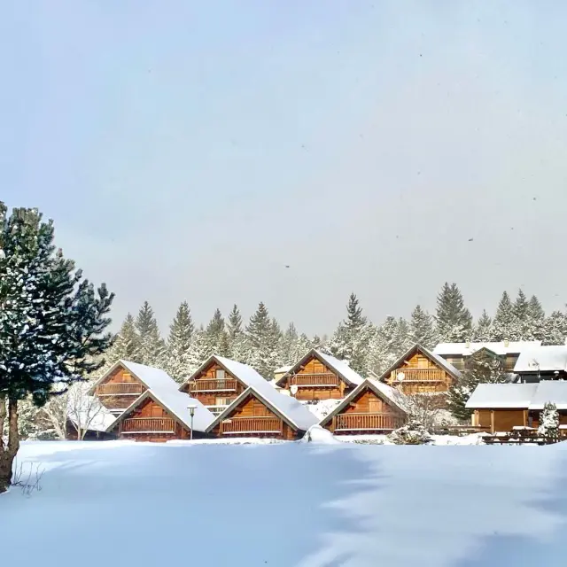 Instagram #toutestici