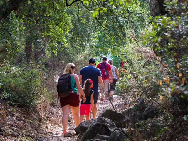 Groupe de randonneurs, dont un enfant, marchant de dos sur un sentier rocailleux ombragé en forêt méditerranéenne par temps ensoleillé.