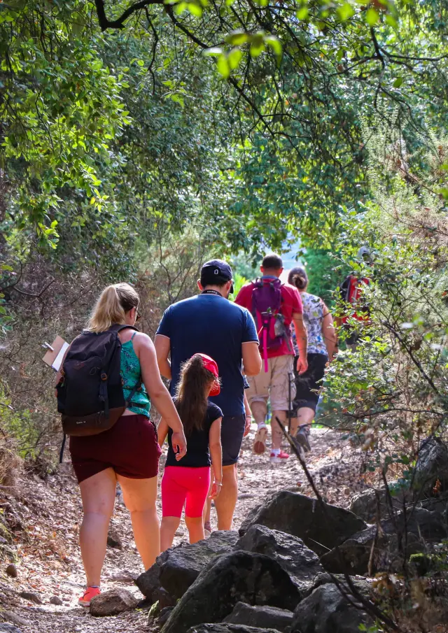 Groupe de randonneurs, dont un enfant, marchant de dos sur un sentier rocailleux ombragé en forêt méditerranéenne par temps ensoleillé.
