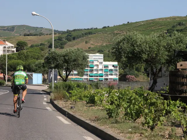 Cycliste roulant sur une route à proximité de vignes avec des habitations et des collines en arrière-plan.